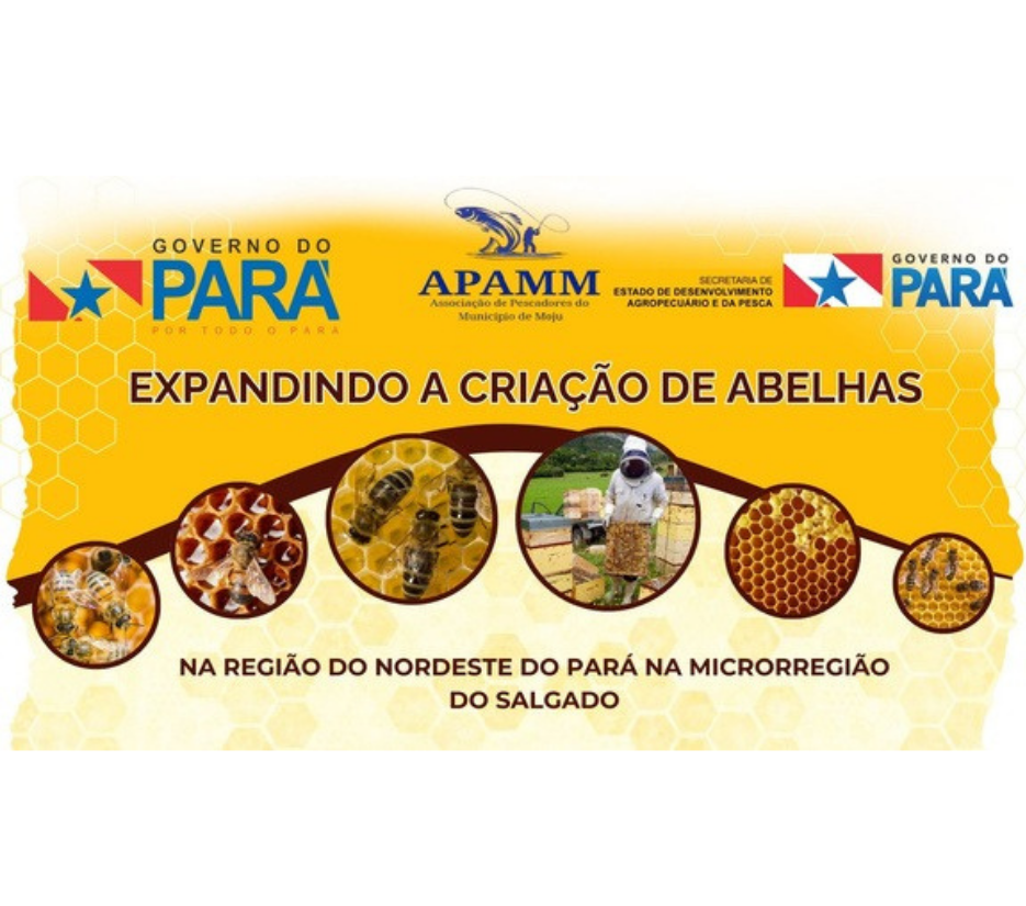 Expandindo a Criação de Abelhas