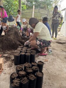 Plantando esperança