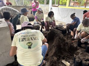 Plantando esperança