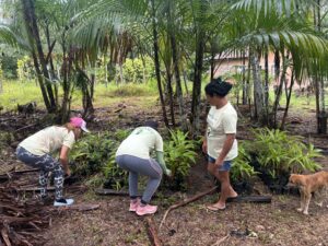 Plantando esperança