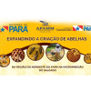 expandindo-criacao-de-abelhas
