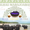 ilhas-marajoara-acai-farinha-cuia